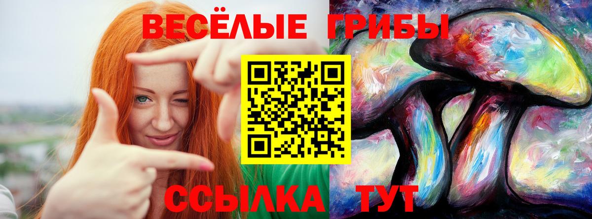 Великий Новгород  Псилоцибиновые грибы MAGIC MUSHROOMS  Вход с VPN 